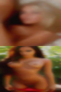 Sex in swinger free personal website Havelock on.
